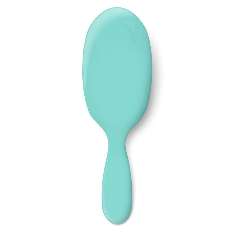 Robin's Egg Blue Hairbrush