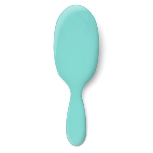 Robin's Egg Blue Hairbrush